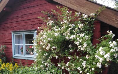 Hembygdsförening med vandrarhem i 90 år