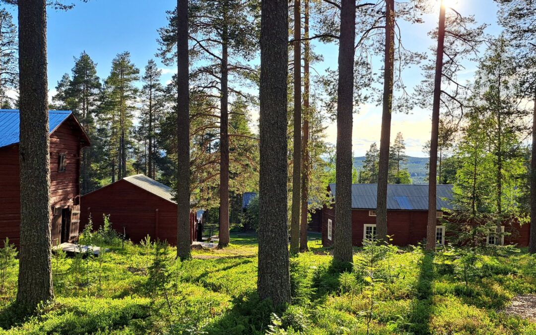 De ska ljudsätta hembygdsgården